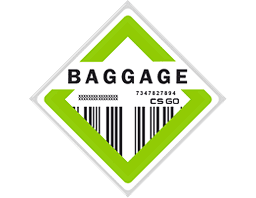 The Baggage Collection 