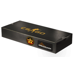 DreamHack 2014 Overpass Souvenir Package Skins