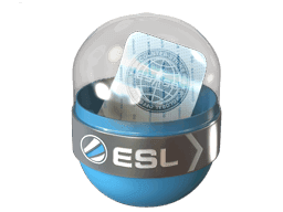 EMS Katowice 2014 Challengers Skins