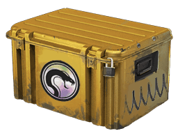 Recoil Case Skins