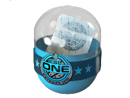 ESL One Katowice 2015 Legends (Holo-Foil) Skins