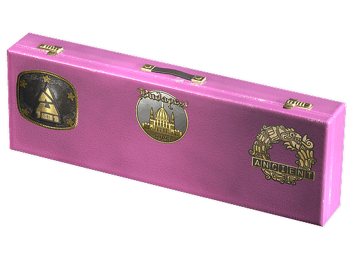 Budapest 2025 Overpass Souvenir Package Skins