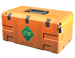 Gallery Case Skins