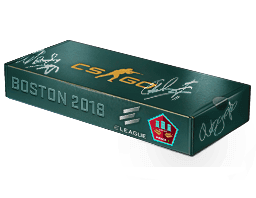 Boston 2018 Mirage Souvenir Package Skins