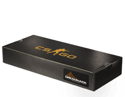 DreamHack 2013 Souvenir Package Skins