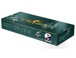 Cobblestone CS2 Souvenir Package