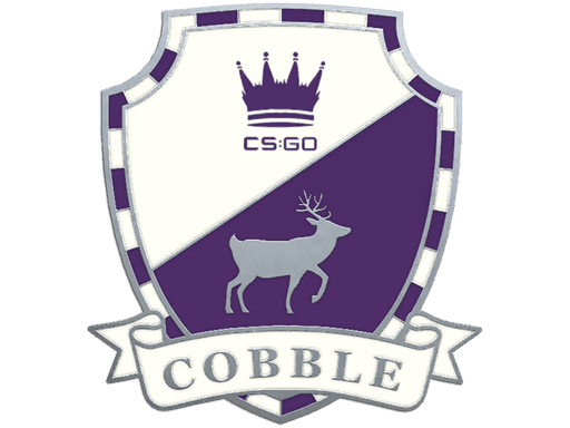 Cobblestone Pin CS2 Collectible
