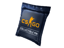 Series 1 CS2 Collectible Capsule