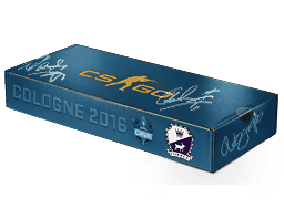 Cobblestone CS2 Souvenir Package