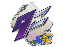 9z Team CS2 Sticker