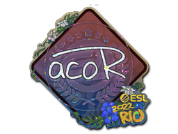 acoR (Glitter) CS2 Sticker