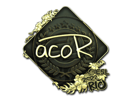 acoR (Gold) CS2 Sticker