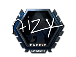 aizy (Foil) CS2 Sticker