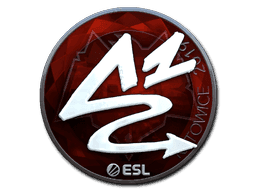 ANGE1 (Foil) CS2 Sticker