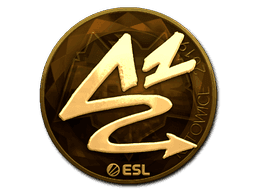 ANGE1 (Gold) CS2 Sticker