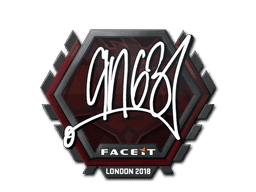 ANGE1 CS2 Sticker