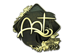 arT (Gold) CS2 Sticker