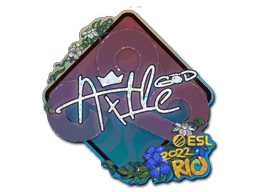 Ax1Le (Glitter) CS2 Sticker