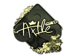 Ax1Le (Gold) CS2 Sticker