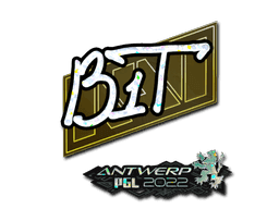 b1t (Glitter) CS2 Sticker