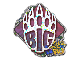 BIG (Glitter) CS2 Sticker