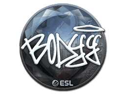 bodyy (Foil) CS2 Sticker