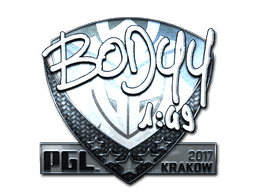 bodyy (Foil) CS2 Sticker