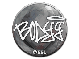 bodyy CS2 Sticker
