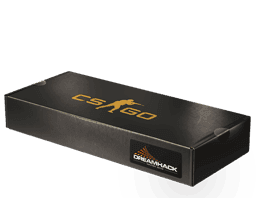 DreamHack 2013 Souvenir Package CS2 Souvenir Package
