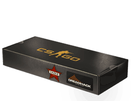 Cache CS2 Souvenir Package