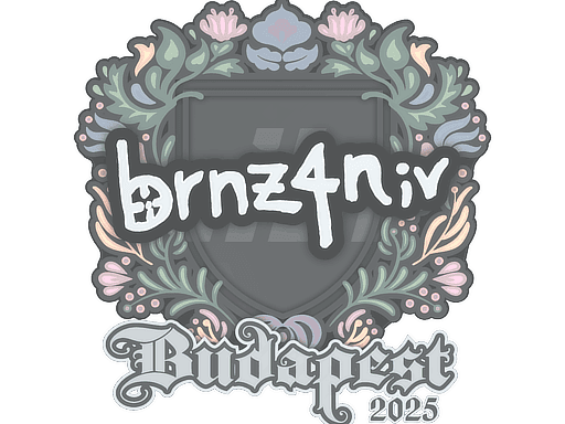 brnz4n CS2 Sticker
