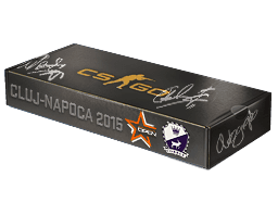 Cobblestone CS2 Souvenir Package