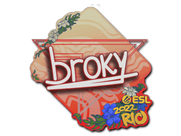 broky CS2 Sticker