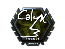Calyx (Foil) CS2 Sticker