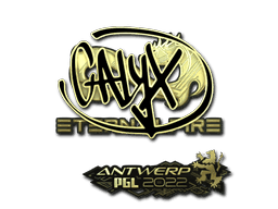 Calyx (Gold) CS2 Sticker
