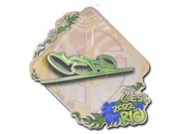 CeRq (Holo) CS2 Sticker