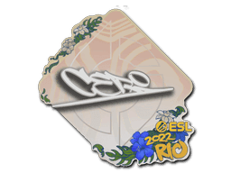 CeRq CS2 Sticker