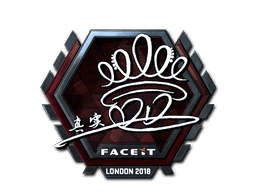 DD (Foil) CS2 Sticker
