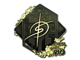 degster (Gold) CS2 Sticker