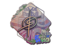 degster (Holo) CS2 Sticker