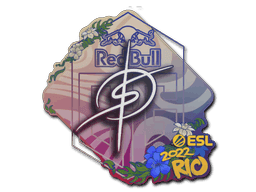 degster CS2 Sticker