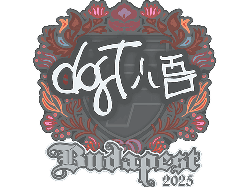 dgt CS2 Sticker