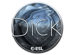 DickStacy (Foil) CS2 Sticker
