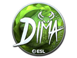Dima (Foil) CS2 Sticker