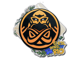 ENCE CS2 Sticker