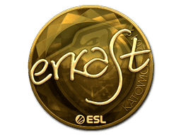erkaSt (Gold) CS2 Sticker