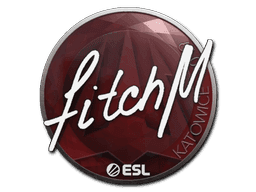 fitch CS2 Sticker