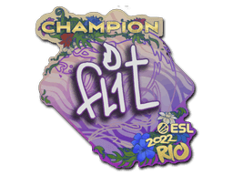 FL1T (Champion) CS2 Sticker
