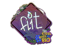 FL1T (Glitter) CS2 Sticker