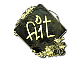 FL1T (Gold) CS2 Sticker